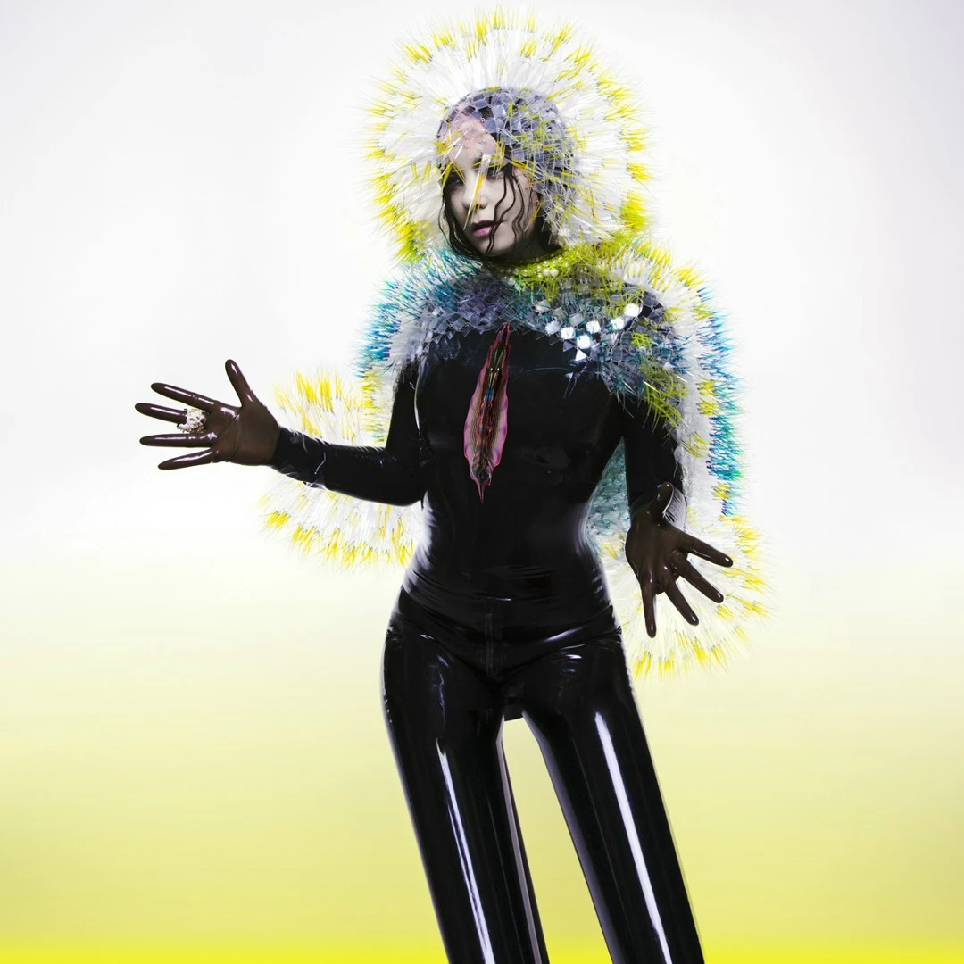 Обложка «Vulnicura», 2015 Обложка «Vulnicura», 2015
