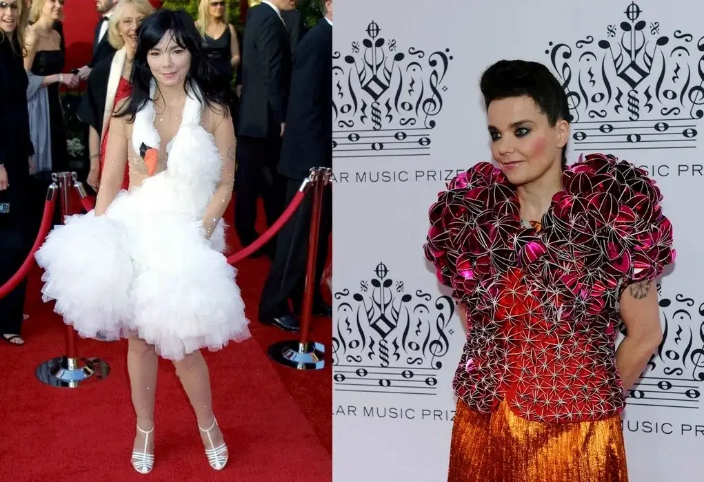 Бьорк в костюме лебедя Бьорк в костюме лебедя