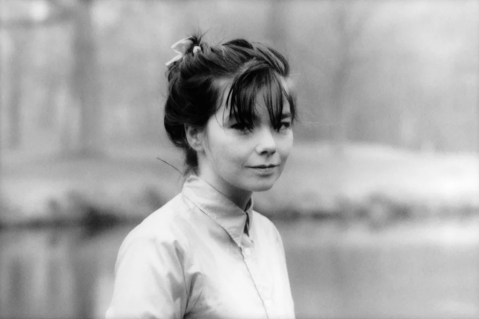 Бьорк в юности Бьорк в юности