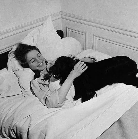 Брижит Бардо и собака