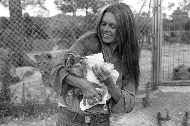 Брижит Бардо кормит тигренка