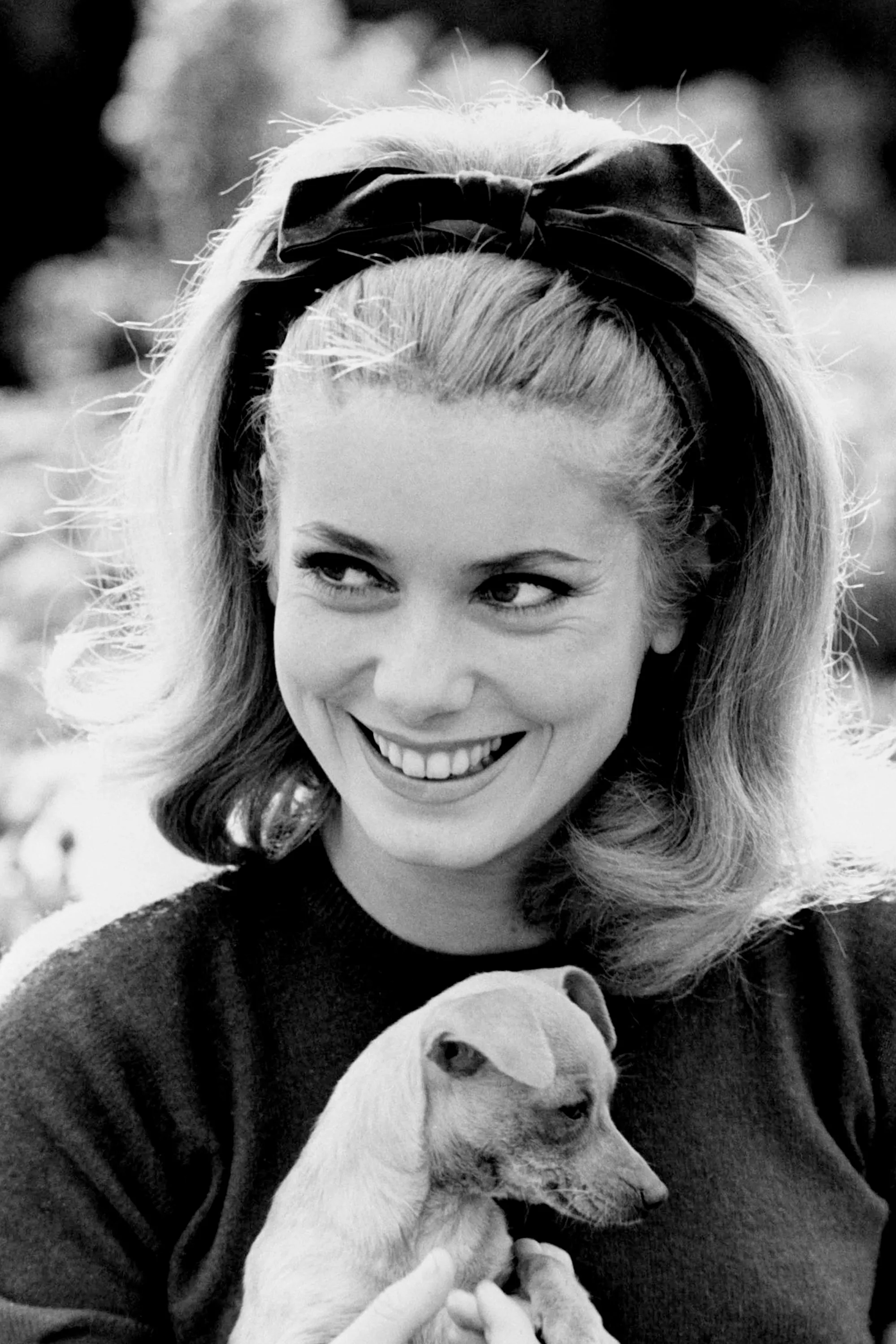 Катрин Денев с собачкой