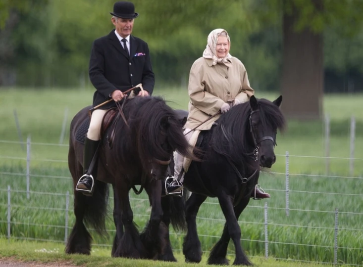 Елизавета II на прогулке Елизавета II на прогулке